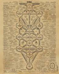 The significance of the Tree of Life in Christian Kabbalah: How is this symbol interpreted within a Christian context?